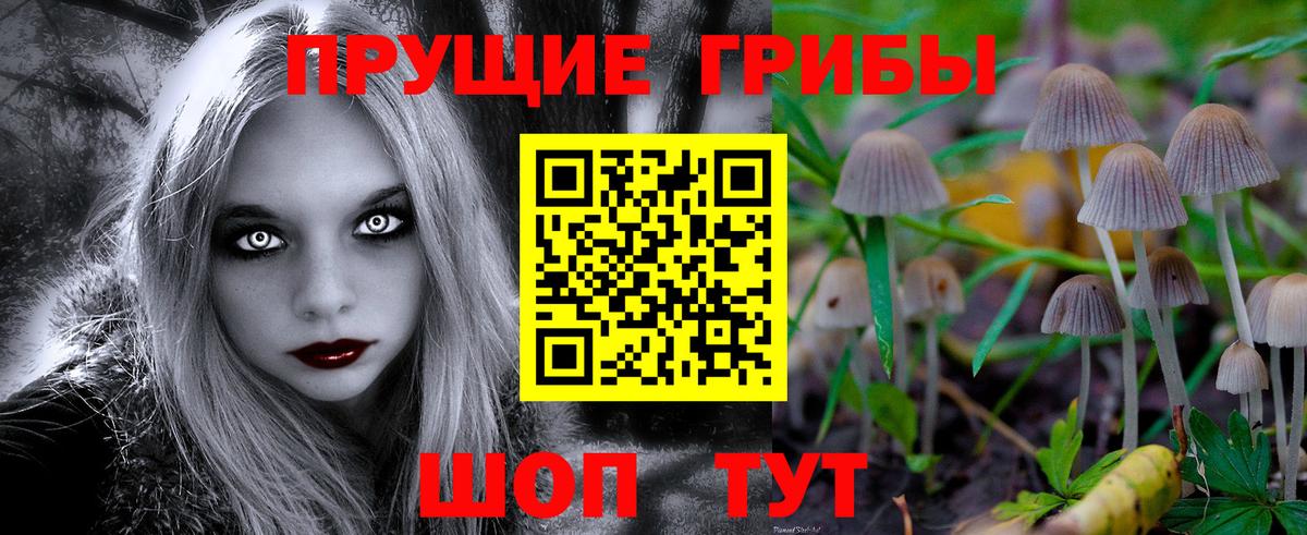 Псилоцибиновые грибы ЛСД Анжеро-Судженск