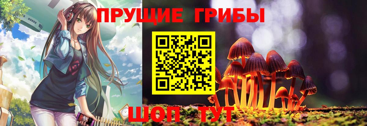 Анжеро-Судженск  Галлюциногенные грибы прущие грибы  купить закладку  Вход с VPN 